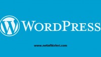 WordPress Kurulum İpuçları